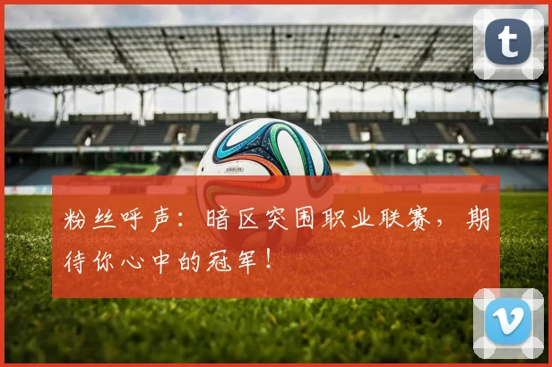 粉丝呼声:暗区突围职业联赛,期待你心中的冠军!