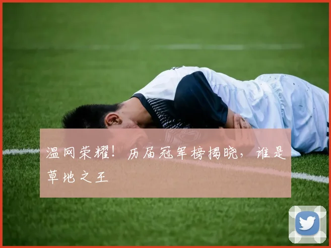 温网荣耀!历届冠军榜揭晓,谁是草地之王